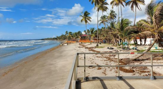 Manzanilla beach