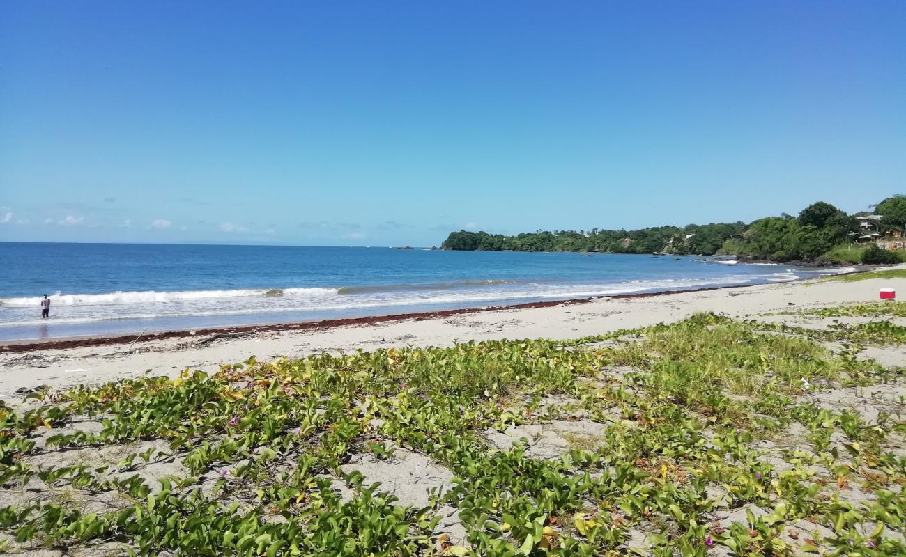 Фото Toco beach с светлый песок поверхностью