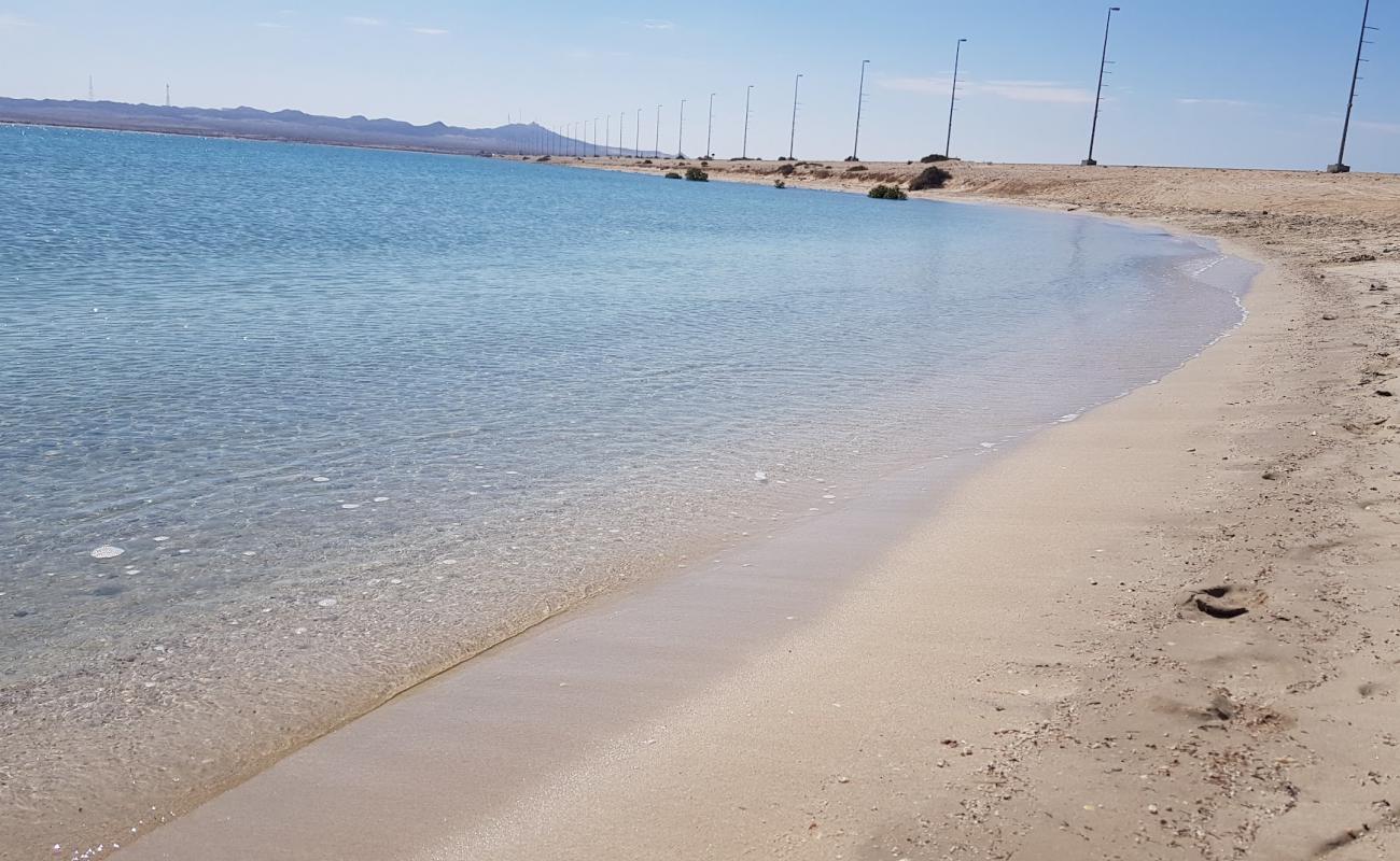 Фото Sir Bani Yas beach с белый песок поверхностью