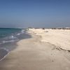 Saadiyat beach