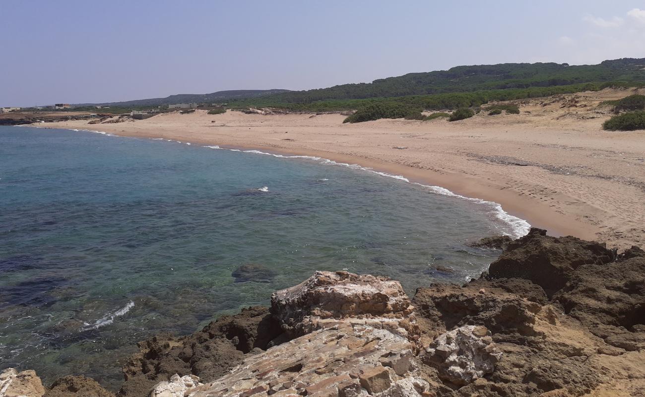 Фото Plage Sidi Mechreg с темный песок поверхностью