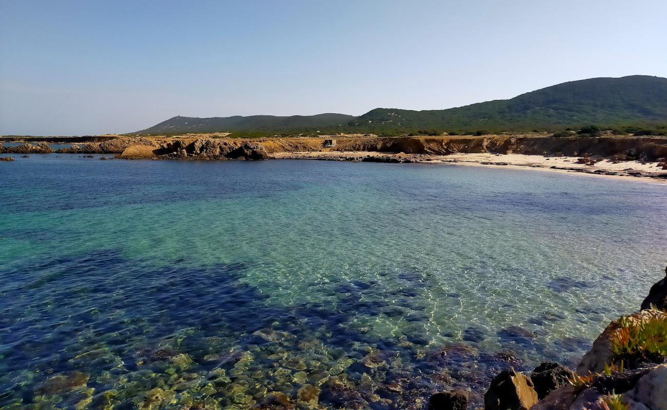 Фото Plage Sidi el Bechir с золотистый песок поверхностью