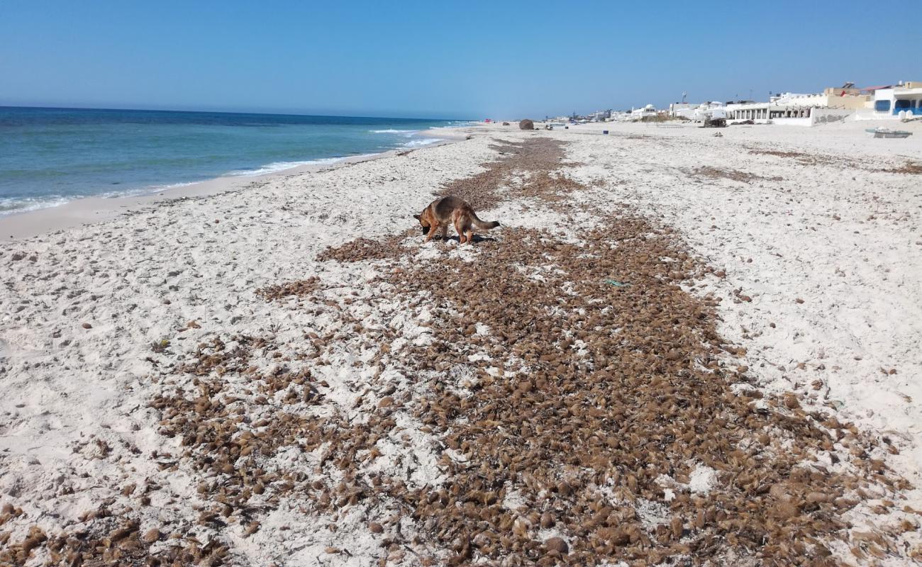 Фото EL Mrigueb Beach II с золотистый песок поверхностью