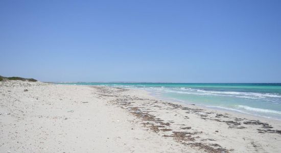 El Aaliya plage