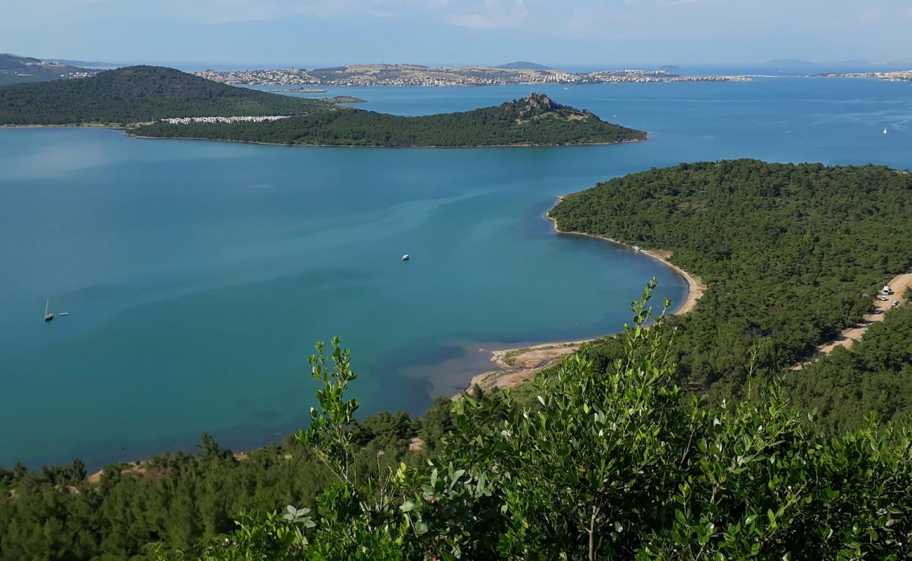 Фото Kumru Bay beach III с песок с галькой поверхностью