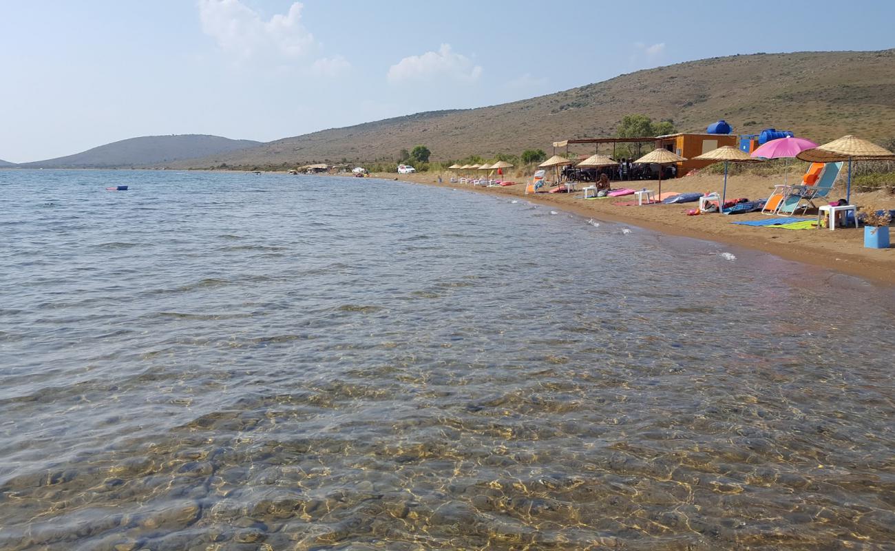 Фото Alibey beach с песок с галькой поверхностью