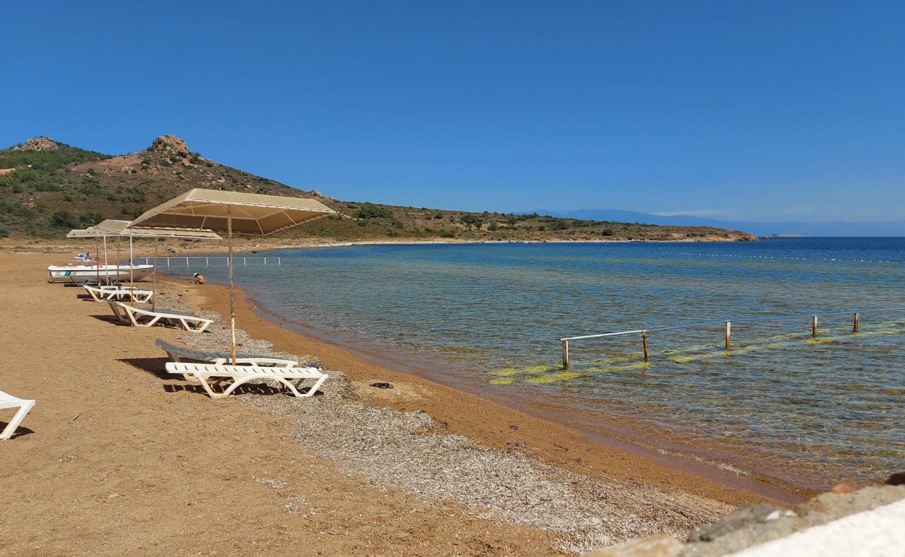 Фото Cataltepe beach с светлая галька поверхностью