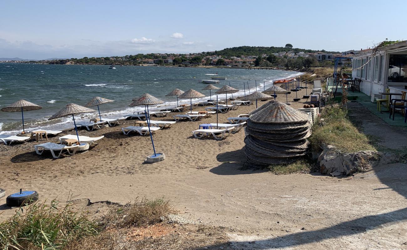 Фото Ayvalik Igdeli beach с светлый песок поверхностью