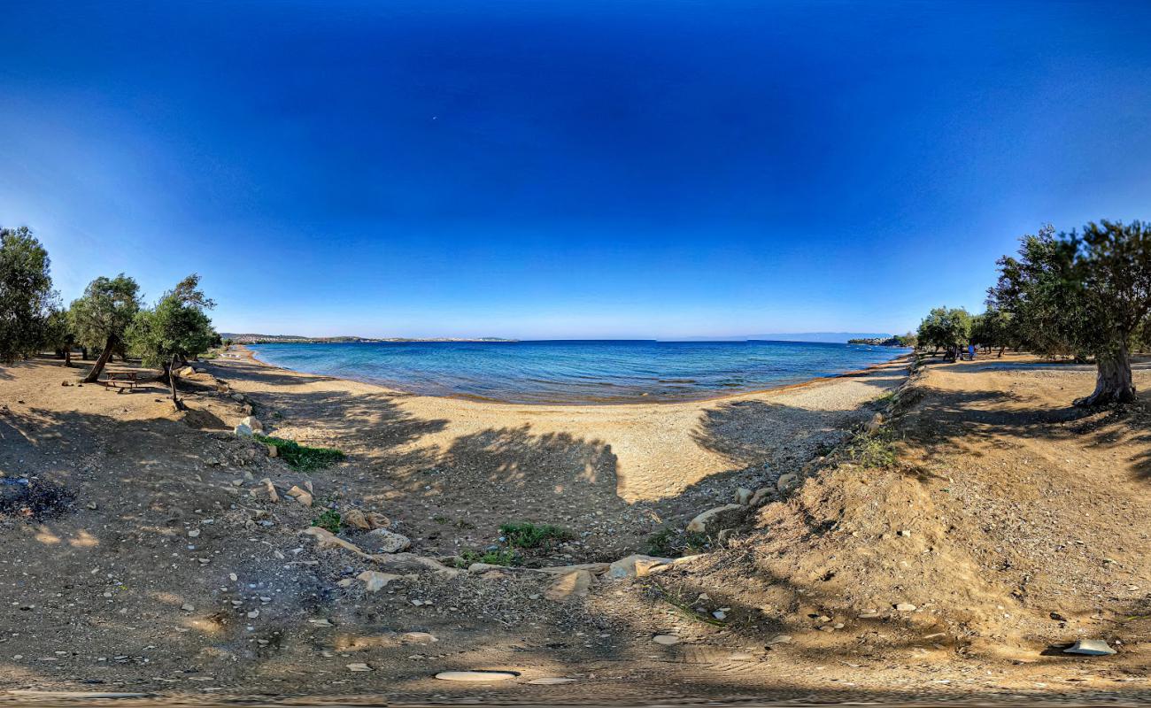 Фото Altinyol Bay с песок с галькой поверхностью