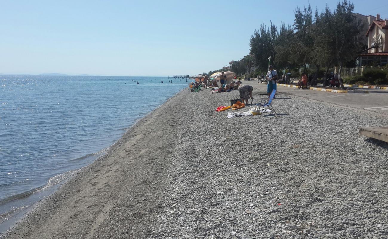 Фото Altinoluk beach с белая чистая галька поверхностью