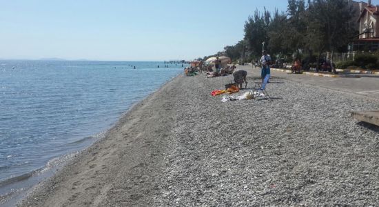 Altinoluk beach