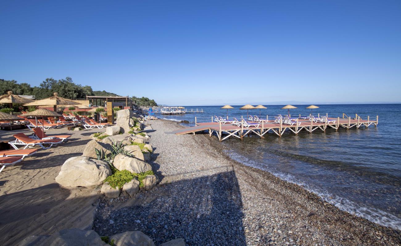 Фото Assos Club beach с светлая галька поверхностью