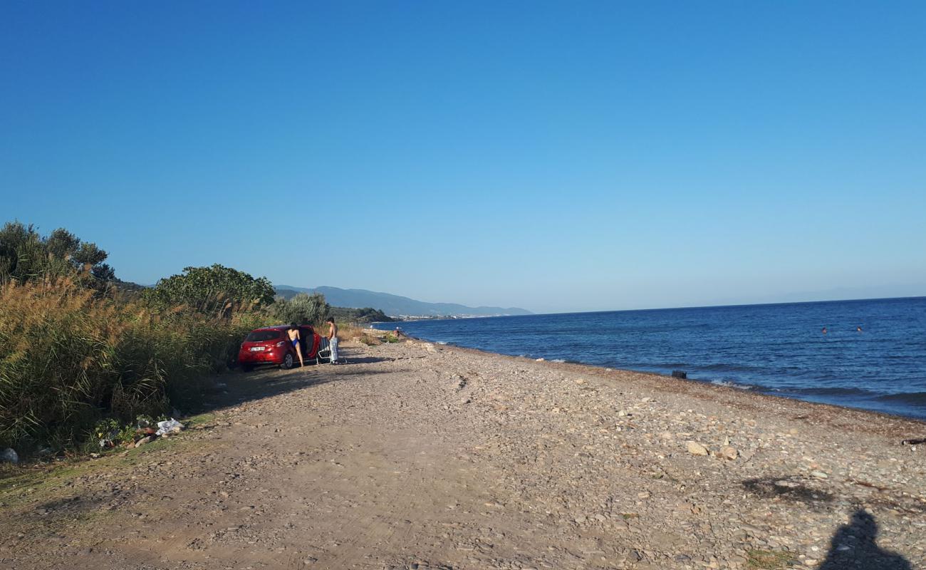 Фото Assos Free beach с светлая галька поверхностью