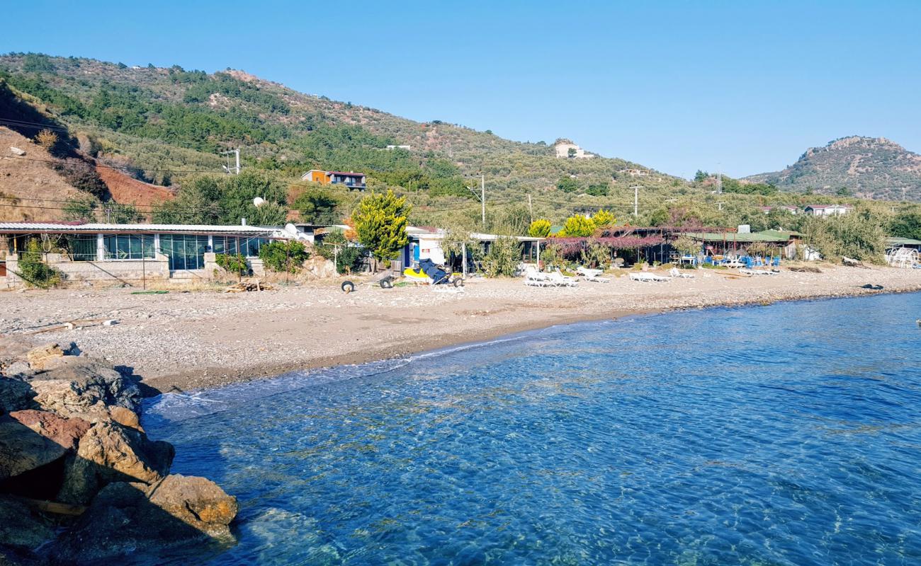 Фото Yahya beach с песок с галькой поверхностью