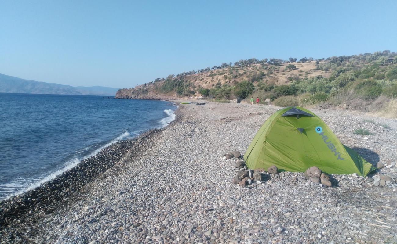 Фото Kaldera-Assos beach с светлая галька поверхностью