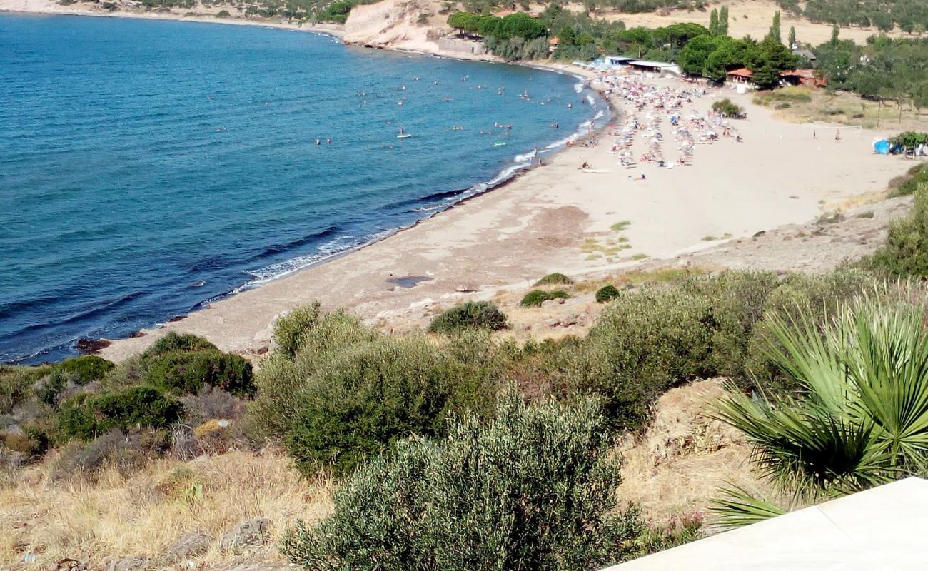 Фото Akliman beach с светлый песок поверхностью