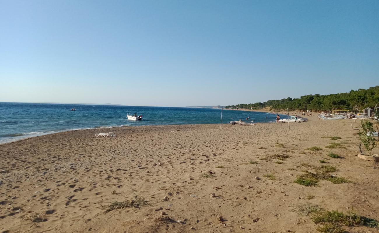 Фото Camlik Camp beach с светлый песок поверхностью