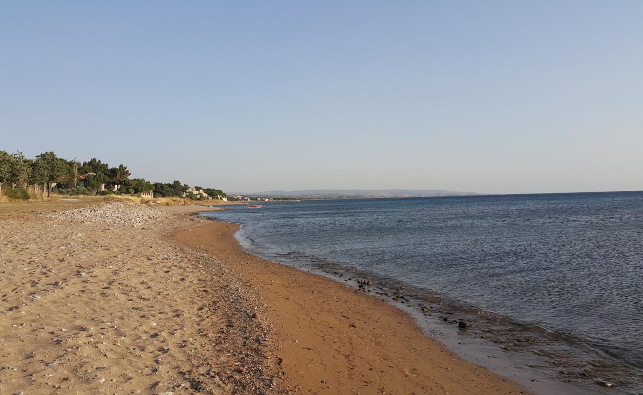 Фото Agora Camp beach с песок с галькой поверхностью