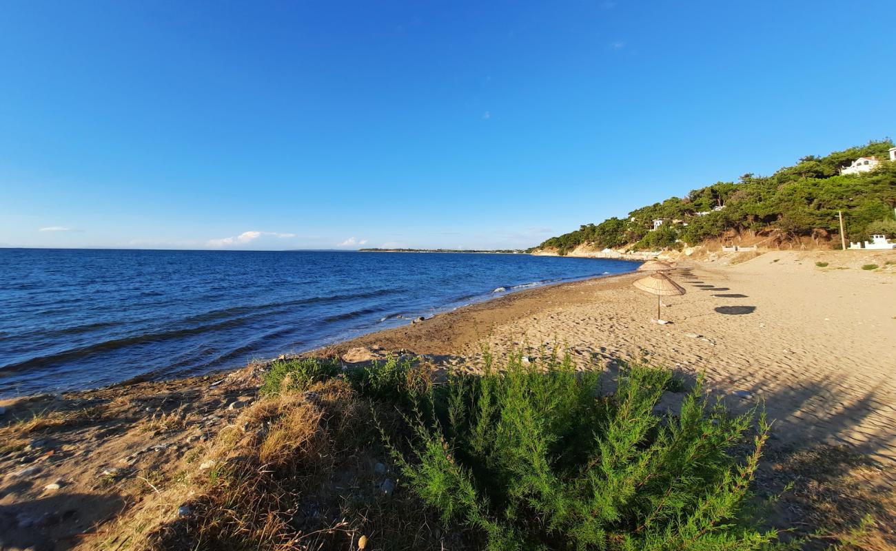 Фото Gunestepe beach с песок с камнями поверхностью