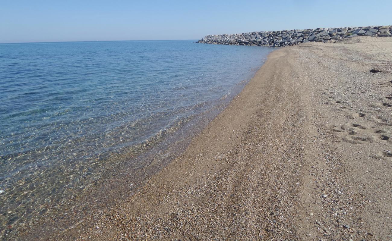 Фото Dalyan Marina beach с песок с галькой поверхностью