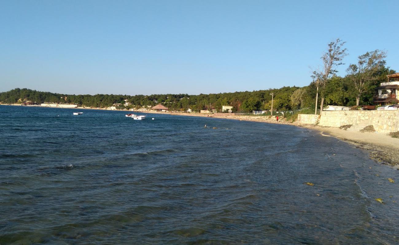 Фото Pamira park beach с песок с галькой поверхностью