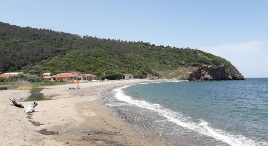 Gureci beach