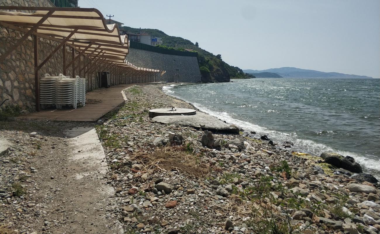 Фото Kursunlu Kadinlar с песок с камнями поверхностью