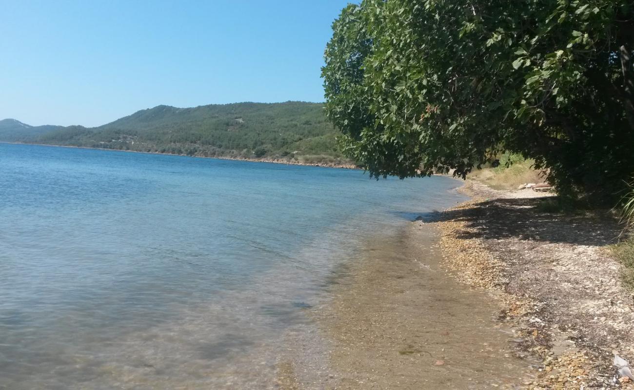 Фото Pazarli beach с песок с галькой поверхностью