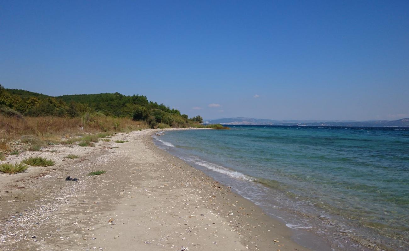 Фото Alcitepe beach с песок с галькой поверхностью