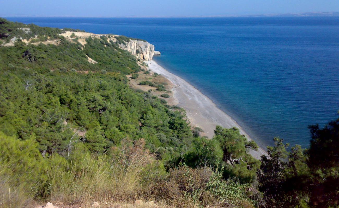 Фото Altunhan beach IV с светлый песок поверхностью