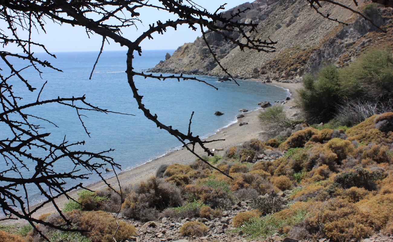 Фото Zeytinlikoy wild с серая галька поверхностью