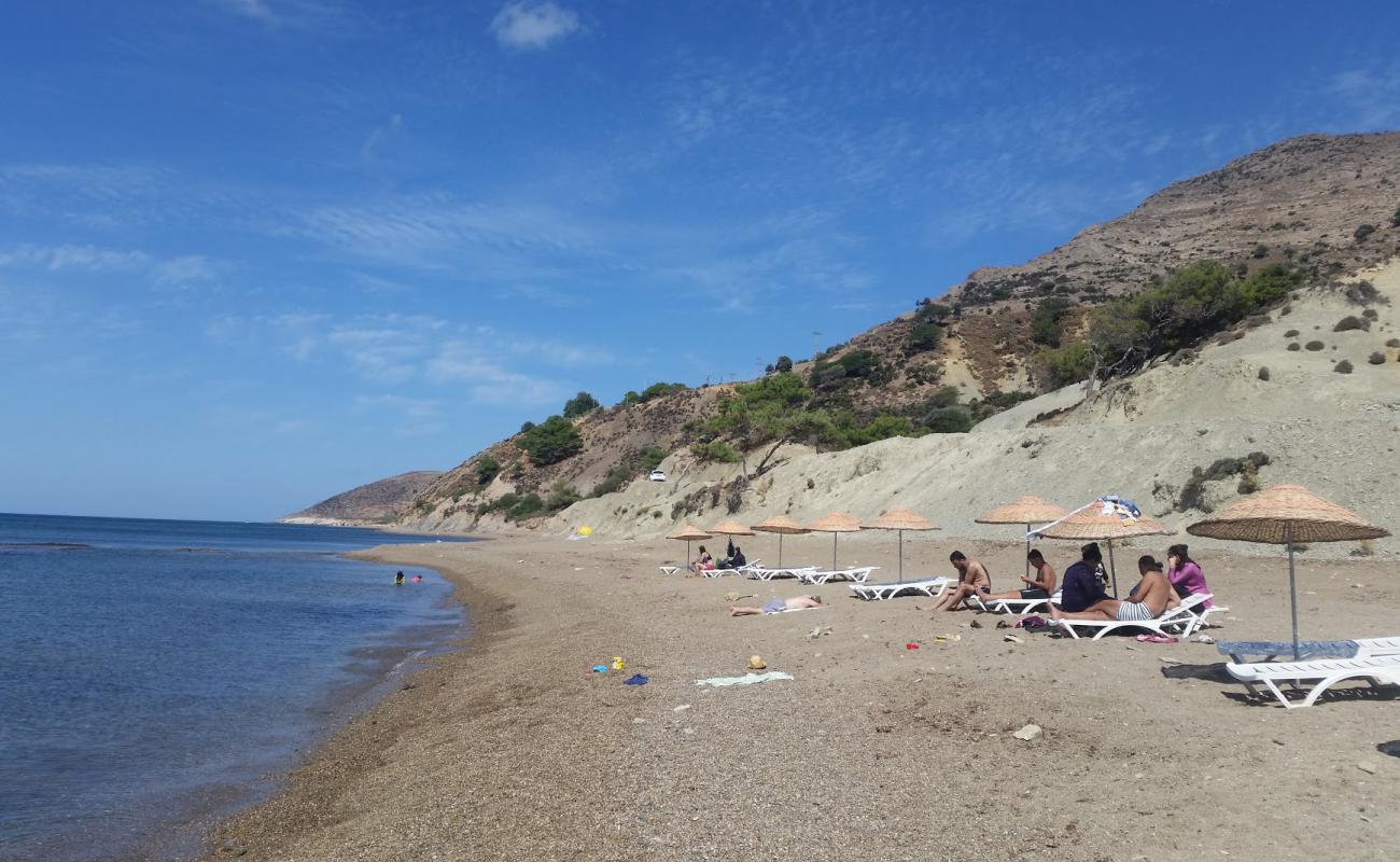 Фото Ugurlu beach с светлый песок поверхностью