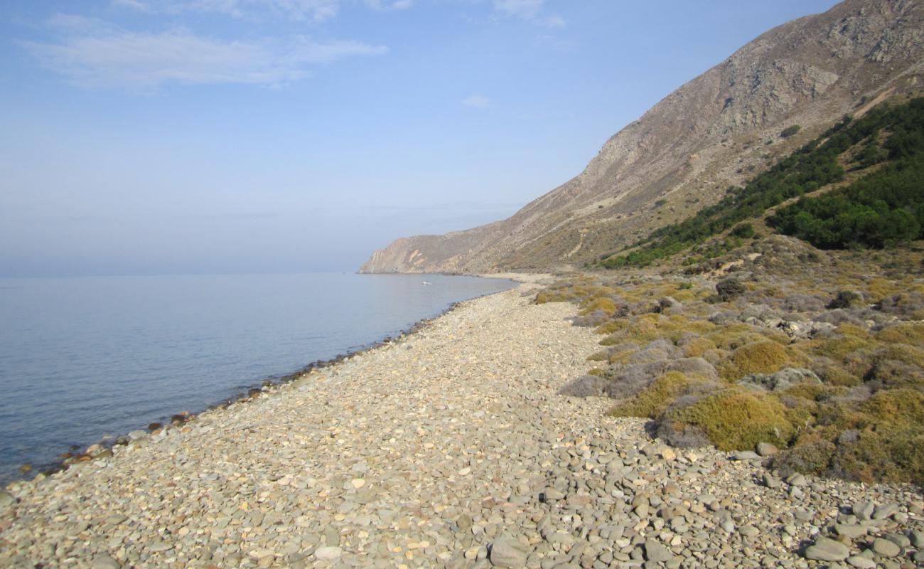 Фото Derekoy wild с камни поверхностью