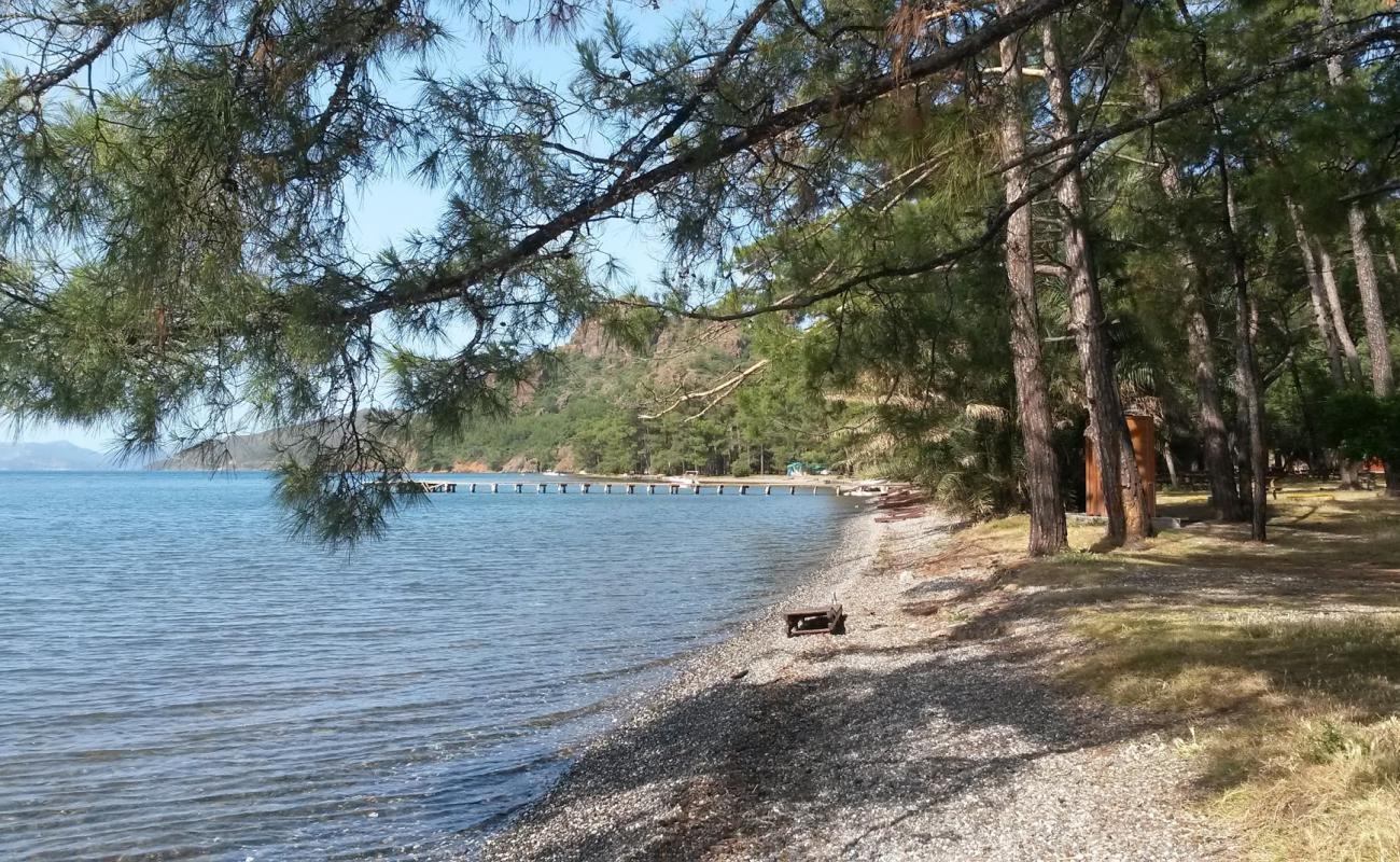 Фото Cubucak Camp beach с темная галька поверхностью