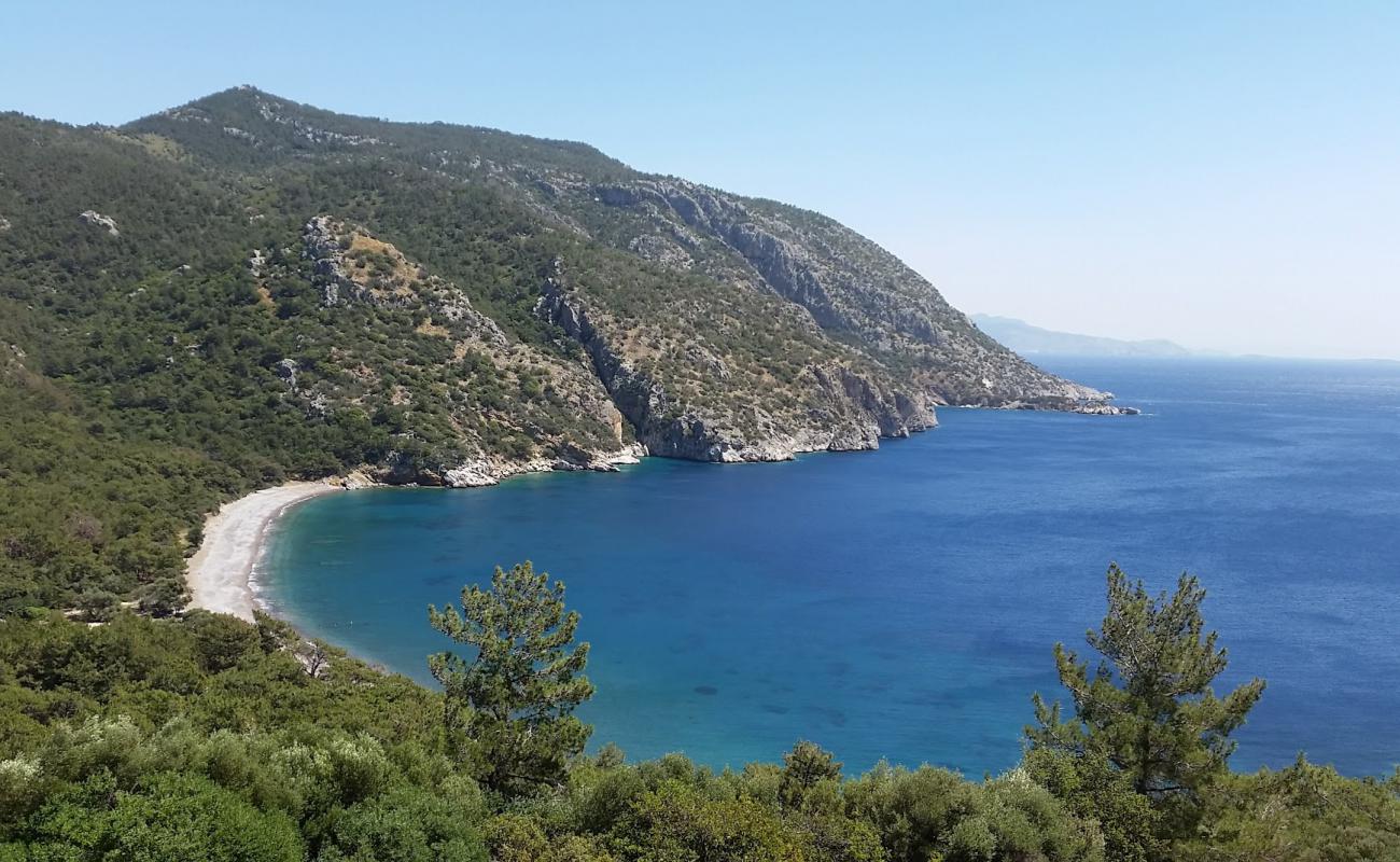 Фото Pigbok beach с песок с галькой поверхностью