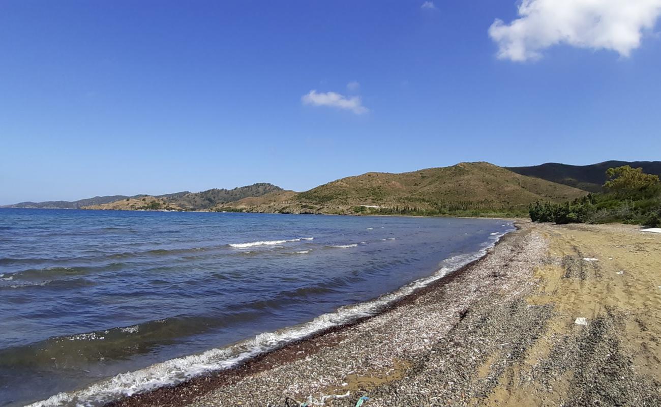 Фото Bordubet beach с темный песок поверхностью