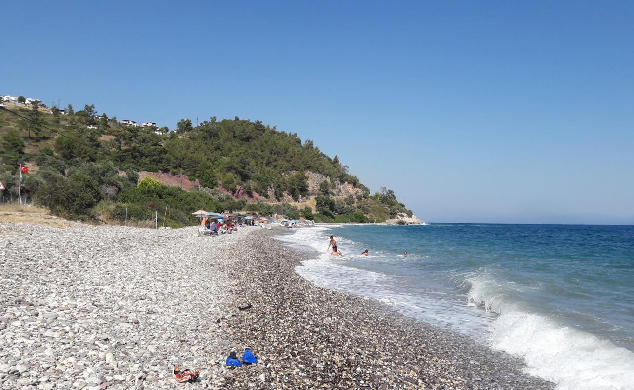 Фото Bozalan beach II с светлая галька поверхностью