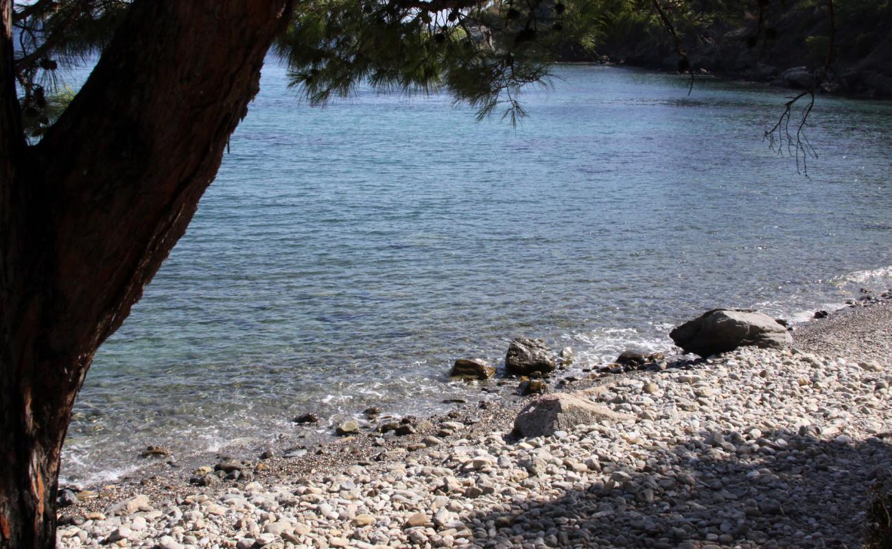 Фото Mazikoy beach II с светлая галька поверхностью