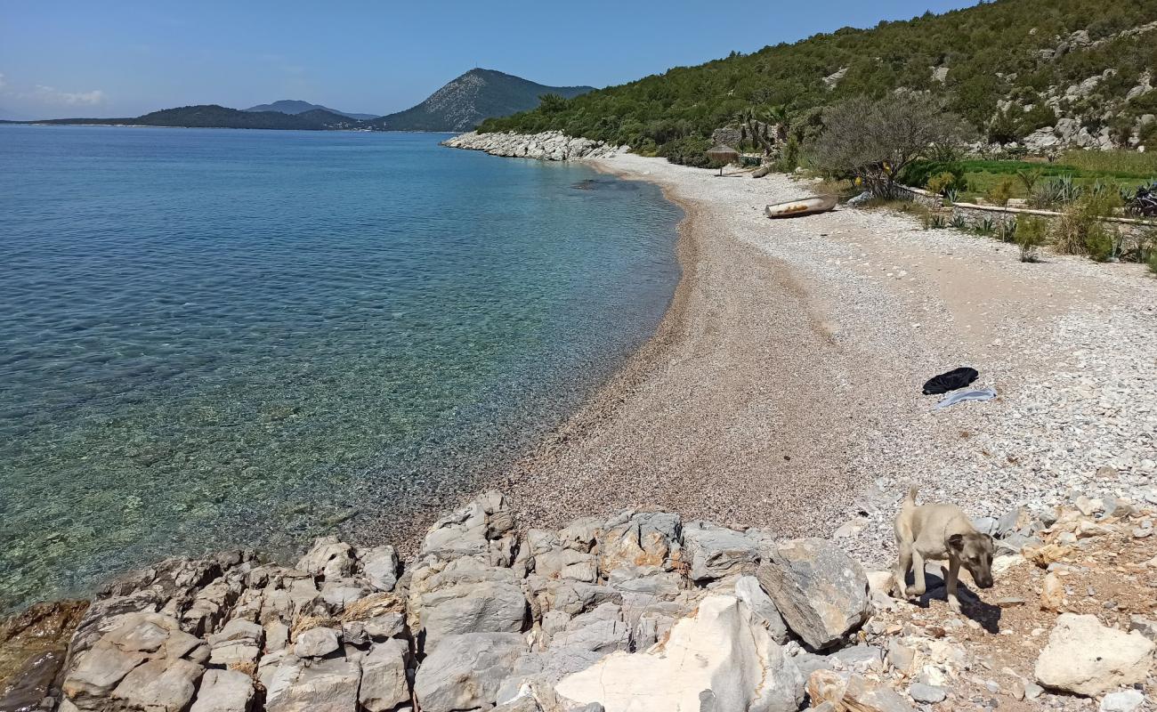 Фото Dangir Bay с светлая галька поверхностью