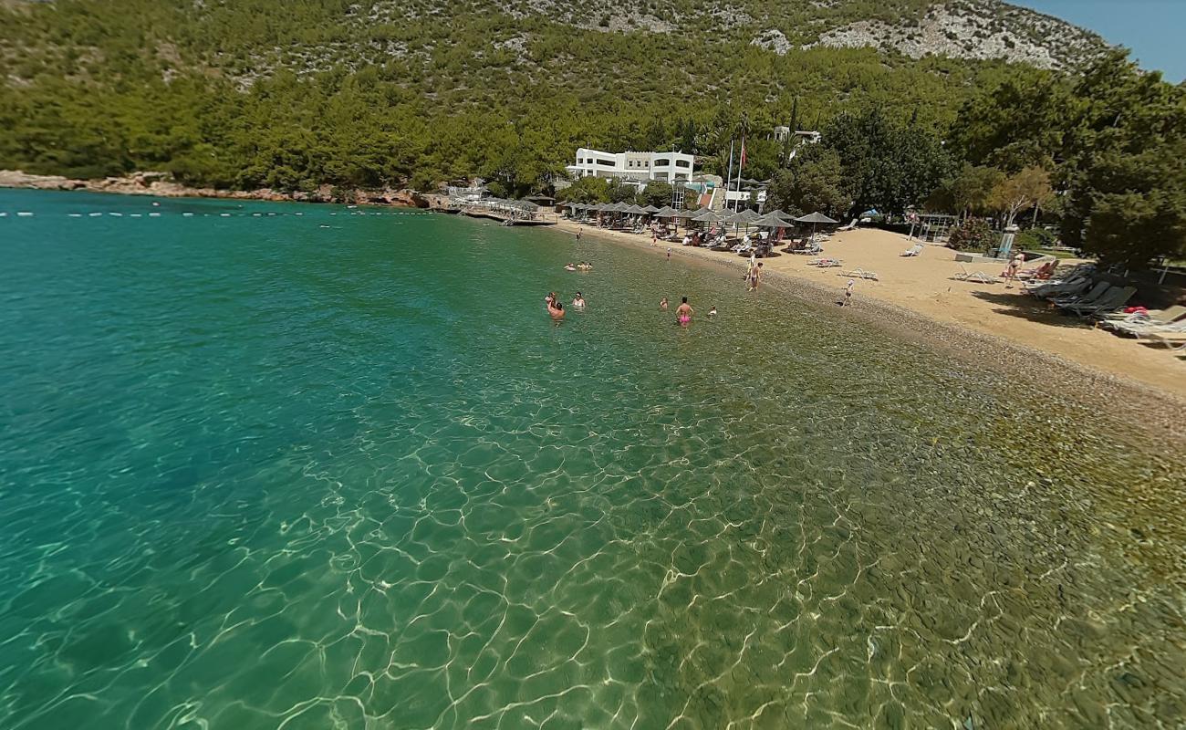 Фото Çamlık Plajı с кристальная вода поверхностью