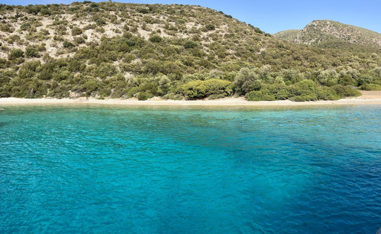 Фото Rabbit Bay с светлая галька поверхностью