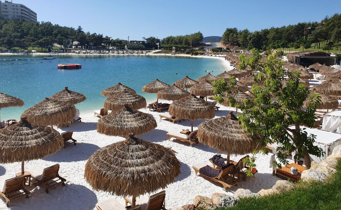 Фото Lujo Bodrum Beach с золотистый песок поверхностью