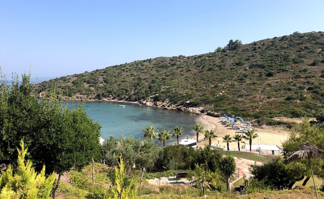 Фото Regnum-Samtepe Beach с светлый песок поверхностью