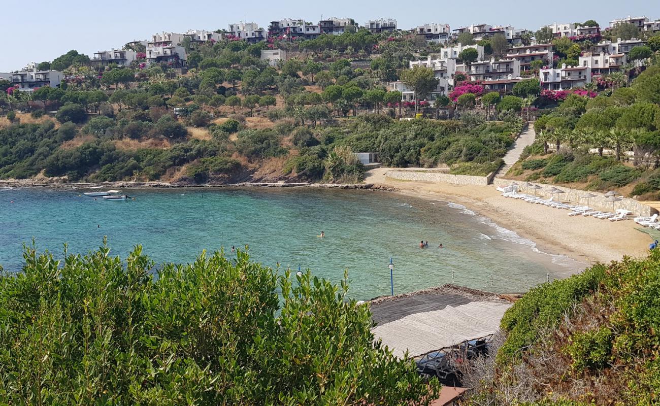 Фото Feza Beach с светлый песок поверхностью