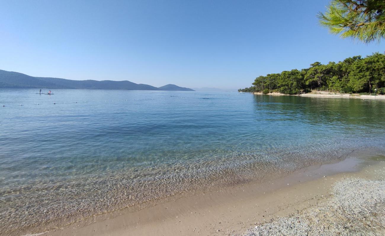 Фото Mandalya beach с светлый песок поверхностью