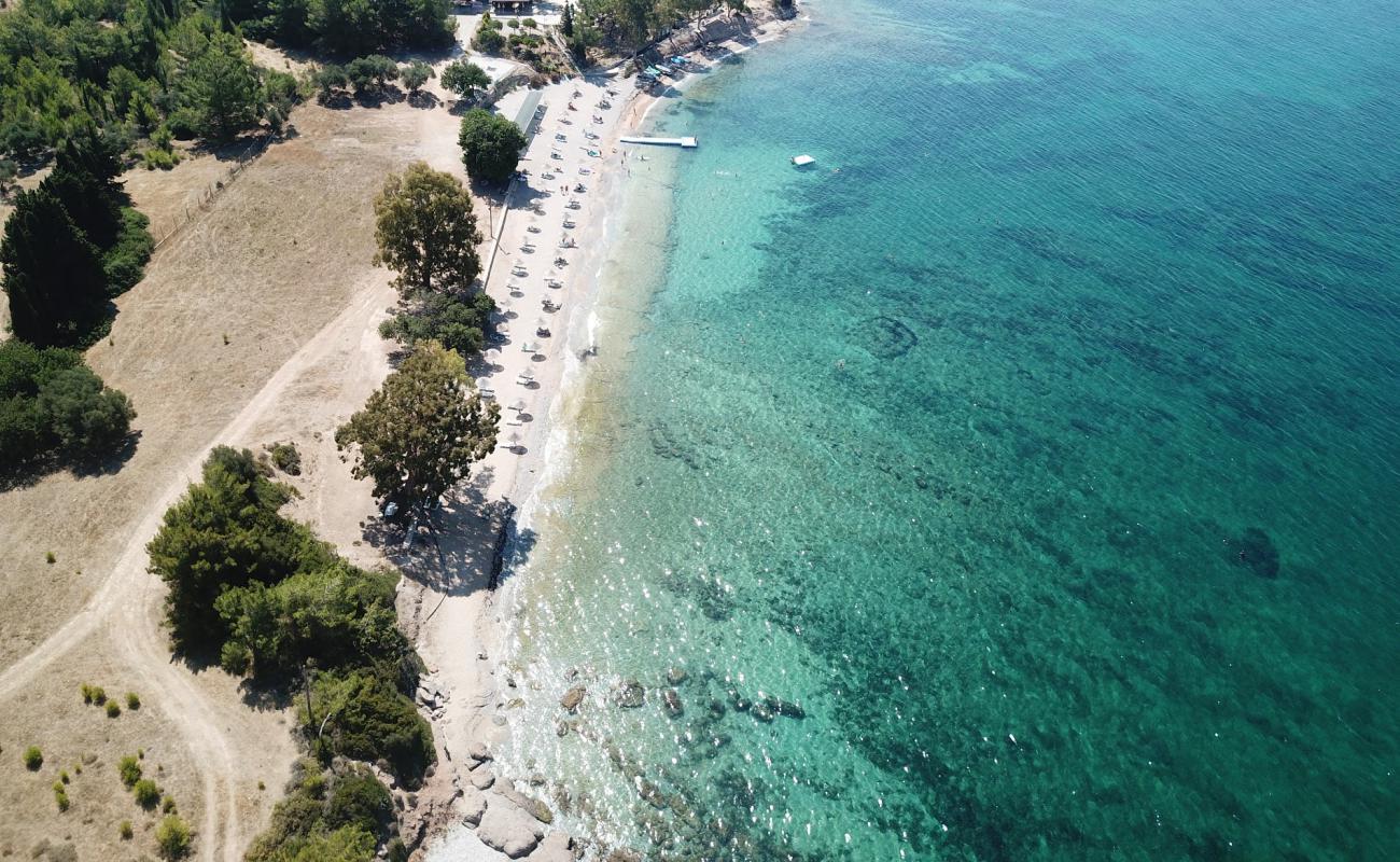 Фото Lalekent Beach с светлый песок поверхностью