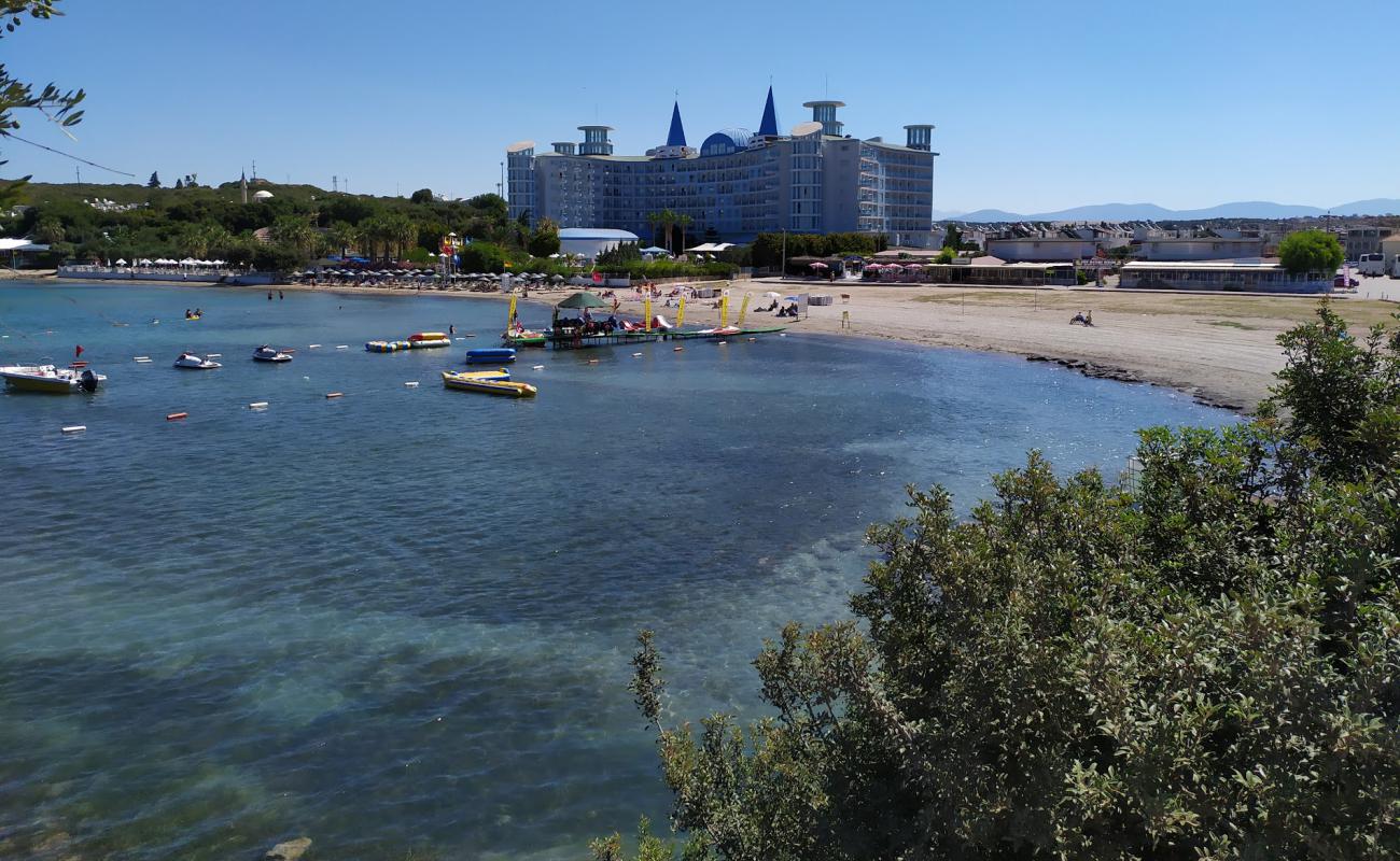 Фото Sagtur beach с светлый песок поверхностью