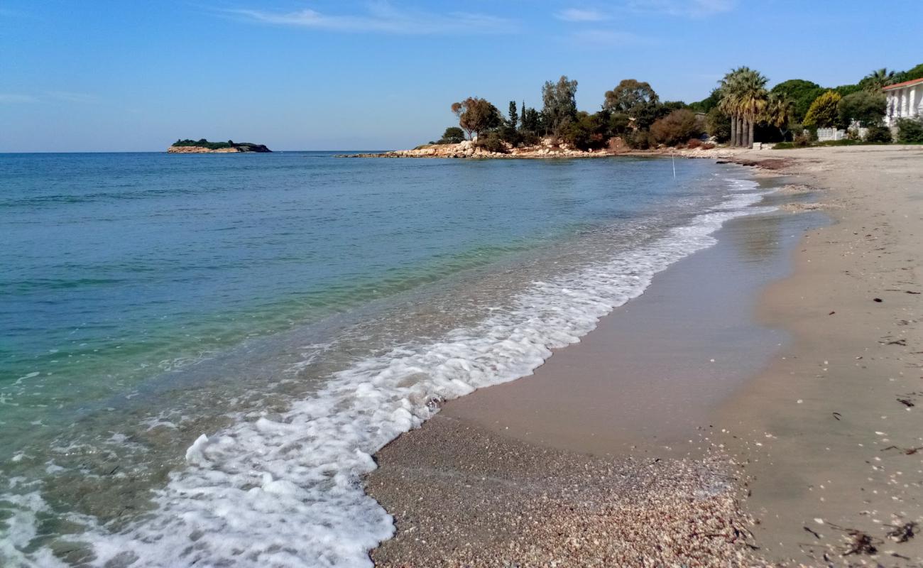 Фото Gulbahce beach с светлый песок поверхностью