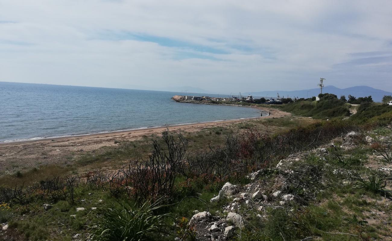 Фото Gulbahce beach IV с светлый песок поверхностью