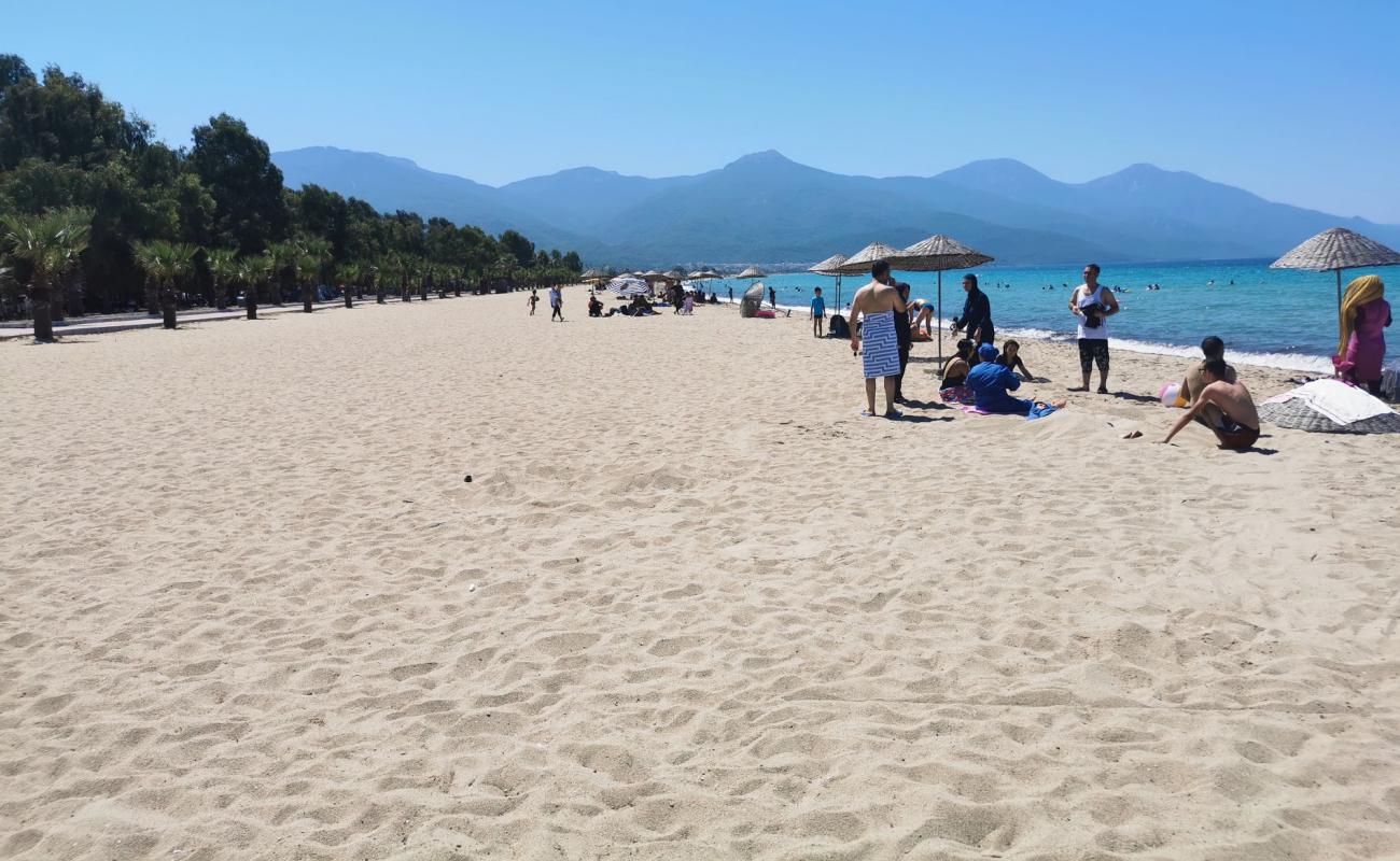 Фото Kusadasi beach II с светлый песок поверхностью